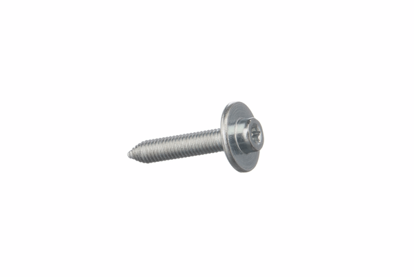 00170215 Šroub Bosch | Siemens
