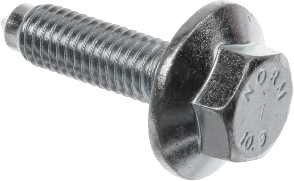00171270 Šroub Bosch | Siemens