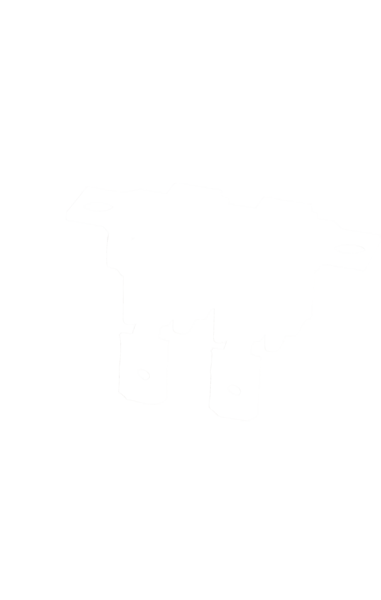 00424612 Ochranný termostat Bosch | Siemens
