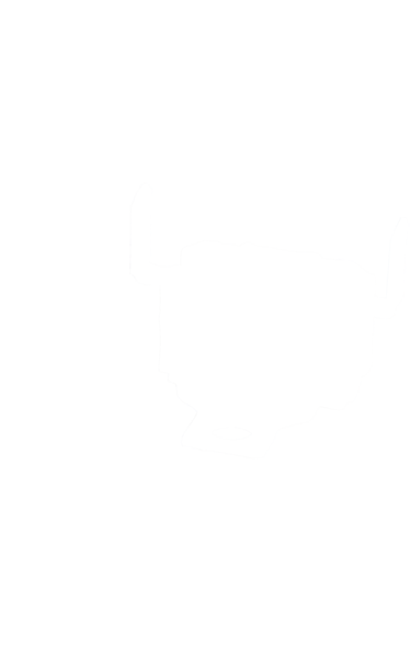00611700 Ochranný termostat k pečicí troubě